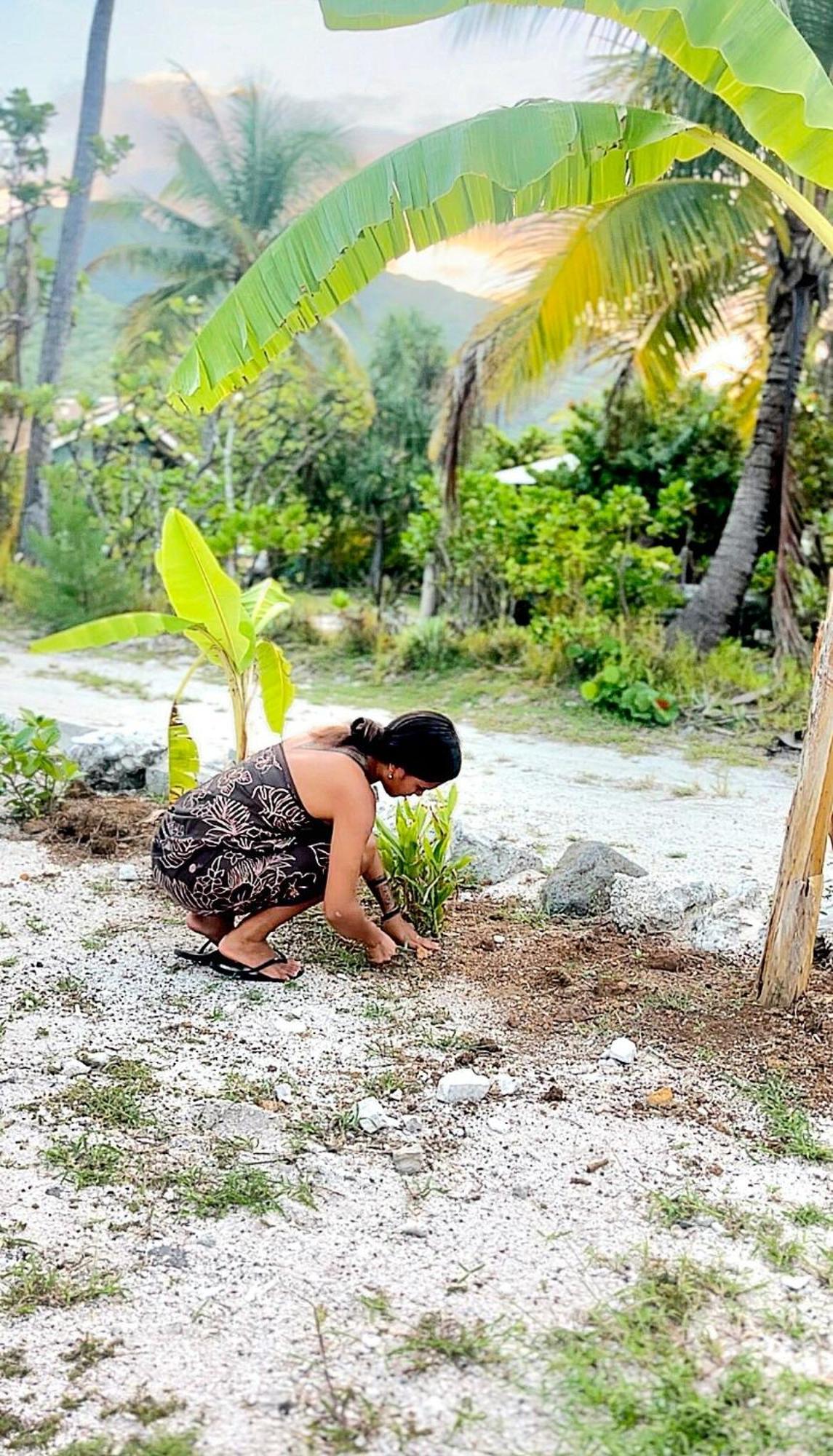 Un Ecrin De Paix Au Soleil Et Proche De La Mer Moorea Exterior foto